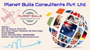 Best Visa Consultants In Punjab